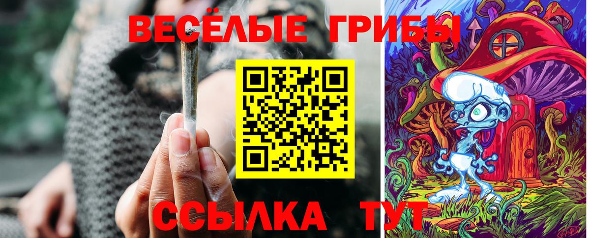 Псилоцибиновые грибы Psilocybine cubensis  Галлюциногенные грибы Cubensis  Шелехов  Вход с VPN 