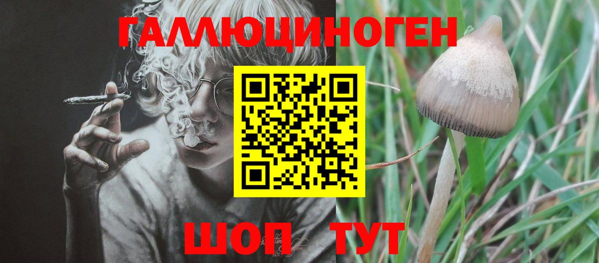 Галлюциногенные грибы прущие грибы Шелехов